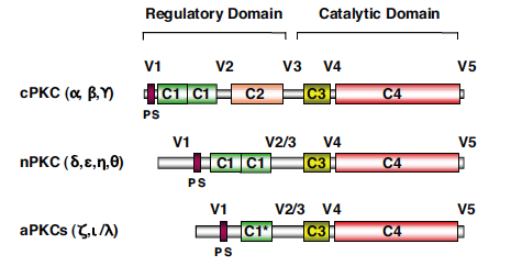 domains